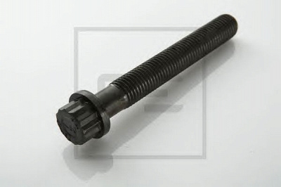 PE AUTOMOTIVE 01008200a -  Болт головки цилиндра
